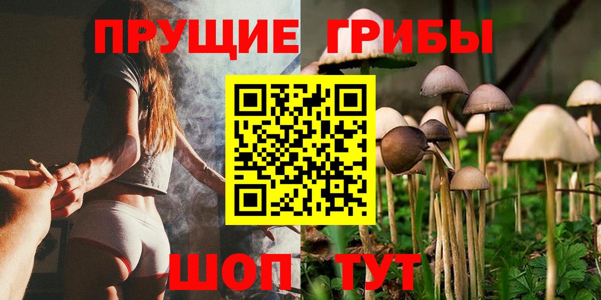 Псилоцибиновые грибы Psilocybine cubensis  Донской 